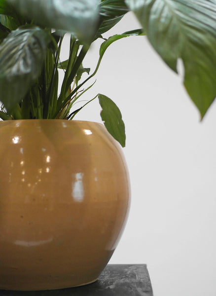 Blumenübertopf d: 19cm