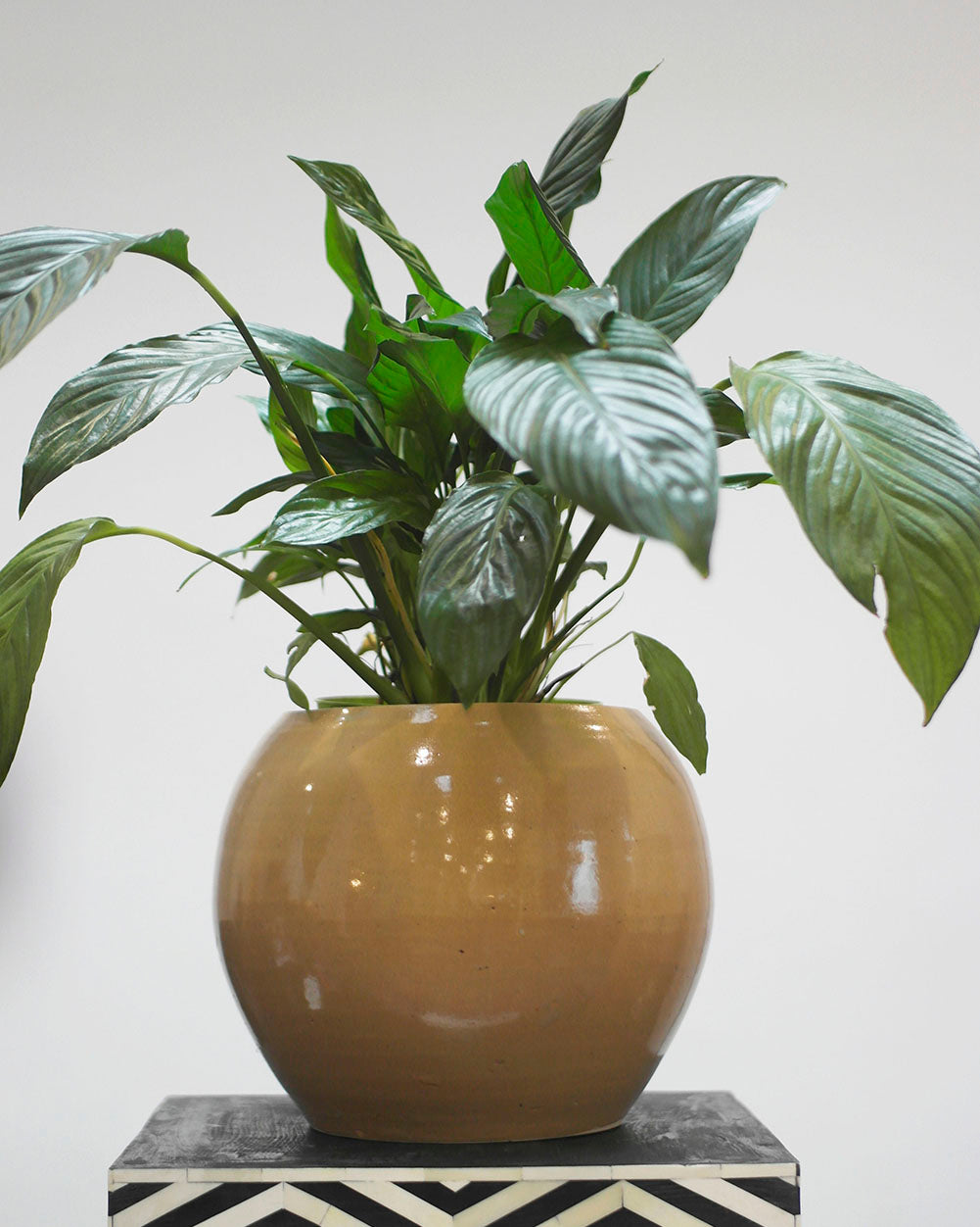 Blumenübertopf d: 19cm